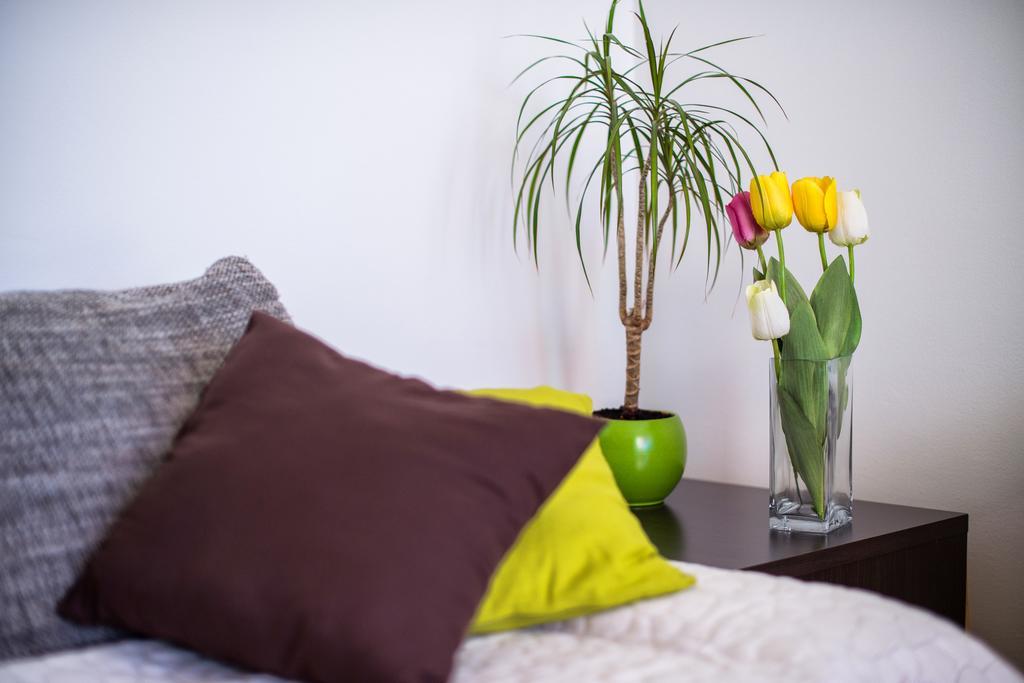 Apartment Dominik Ποντστράνα Εξωτερικό φωτογραφία